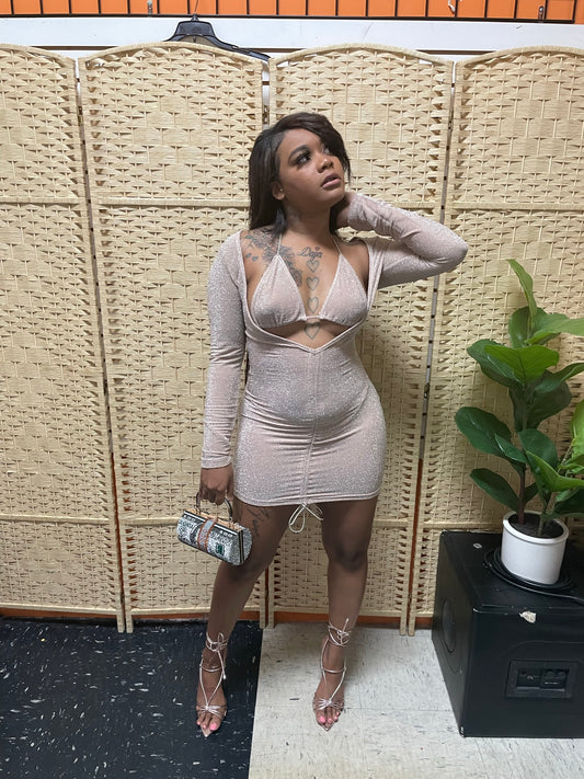 Monroe Champagne Dress